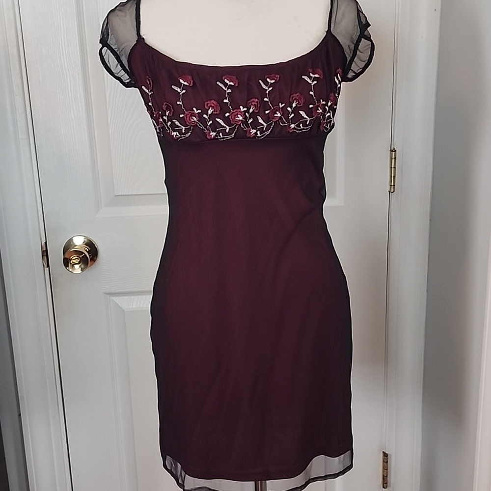 Vintage Sheer Sleeve Rose Embroidered Maroon Dress